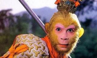 孙悟空的死尸照片