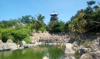 三亚热带雨林公园值得去吗 三亚热带森林公园