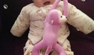 四个月添加什么辅食