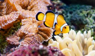 长隆水上乐园全票可以玩到几点 长隆水上乐园情侣票