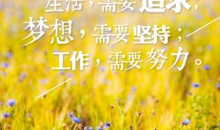 图库怎么恢复到桌面