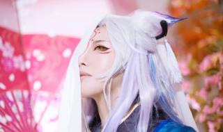 阴阳师妖狐皮肤图鉴