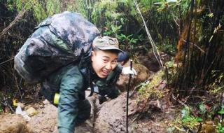 一匹出色的马教案