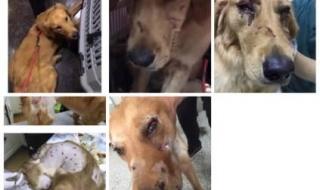 东航是哪个航空公司