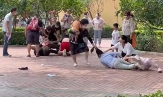 动物打人犯法吗 北京动物园打架事件