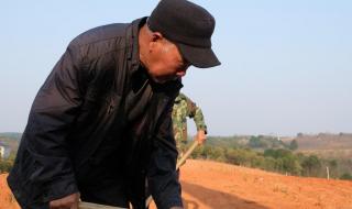 田间欢顾来的第一次