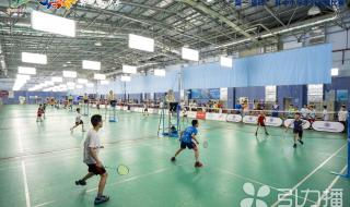 苏迪曼杯小组赛规则 苏迪曼杯颁奖规则