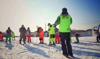 2020年冬奥中国金牌占各国多少 2020冬奥主题