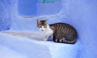 摩洛哥国家富裕吗