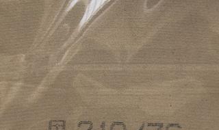 许昕正手用的什么胶皮